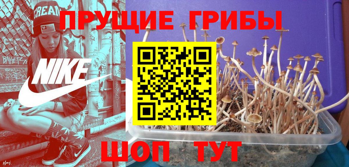 Каннабис  Вход с VPN  Мефедрон кристаллы  ЭКСТАЗИ  Артём  COCAIN  ГАШИШ 